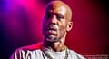 DMX