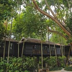 The Cabin Facility