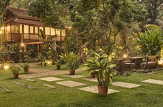 Substance abuse rehab from around the world thailand and bangladesh in the news