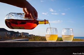 From vacation to addiction backpackers returning home as alcoholics