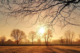 Seasonal affective disorder what it is and how it could cause an addiction