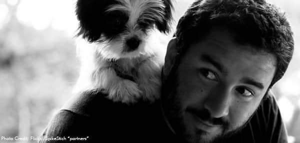 How do Pets make a Difference in Addiction Recovery