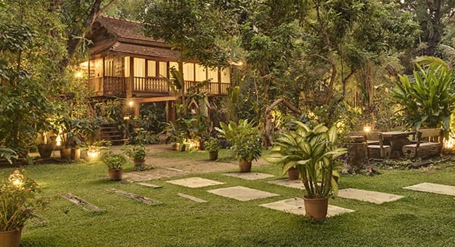 Substance abuse rehab from around the world thailand and bangladesh in the news